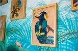 Disney Wonder. Parrot Cay